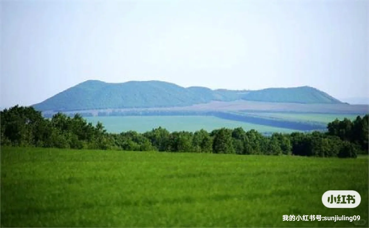 桉树公益林如何采伐？