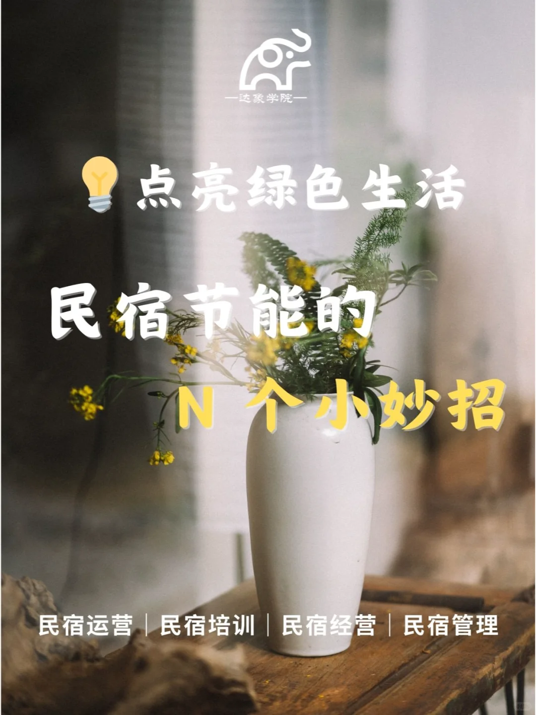 点亮绿色生活:民宿节能的 N 个小妙招?