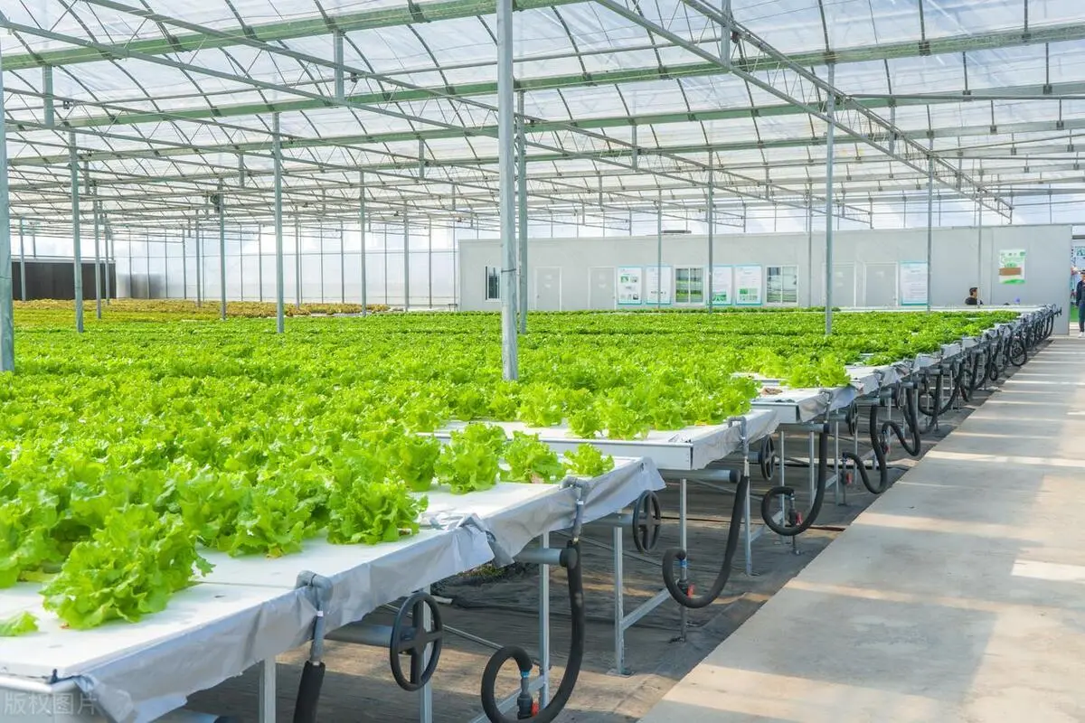 从传统农业到智慧农业工业网关的角色与价值