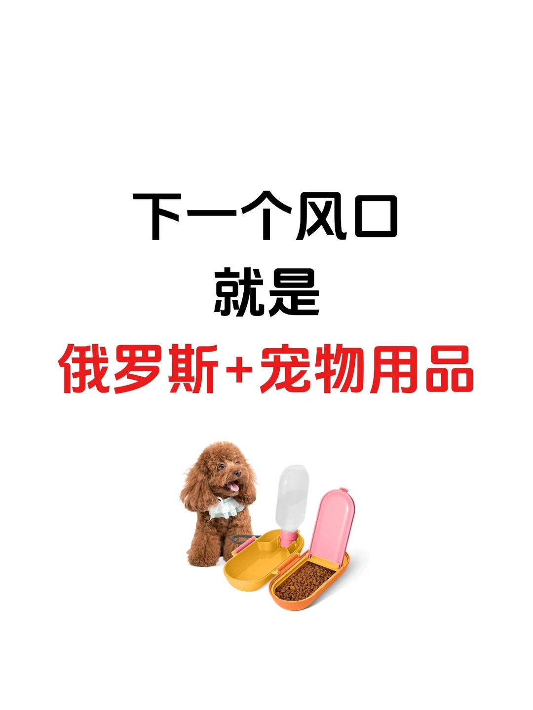 下一个外贸风口就是做：俄罗斯+宠物用品