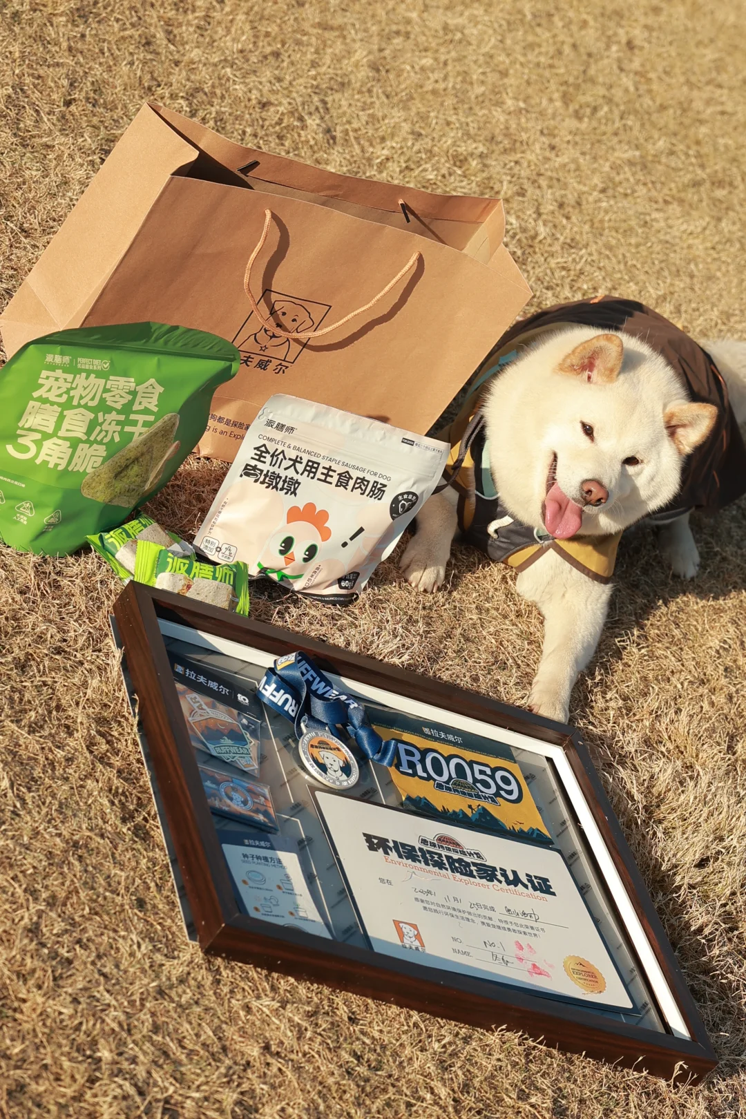 拉夫威尔，让狗狗的每一步都有环保温度