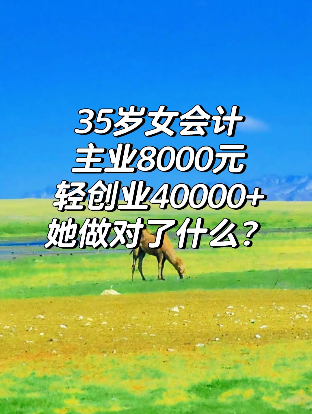 35岁女会计，创业收入40000+，她做对了啥