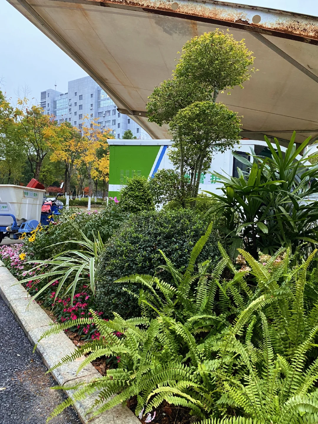 这小区也太好看了吧