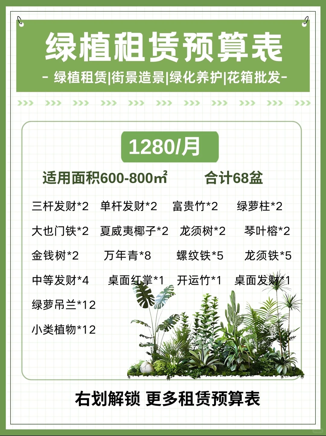 办公室绿植｜购买VS租赁，看完不再纠结！