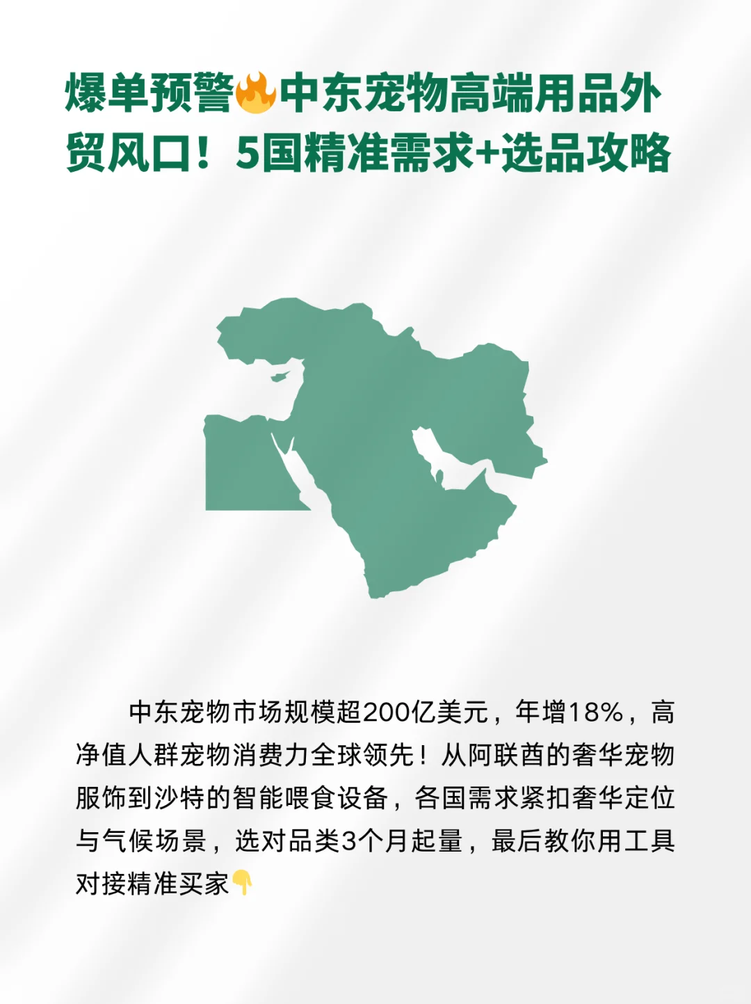 下一个外贸蓝海就是∶中东+宠物用品