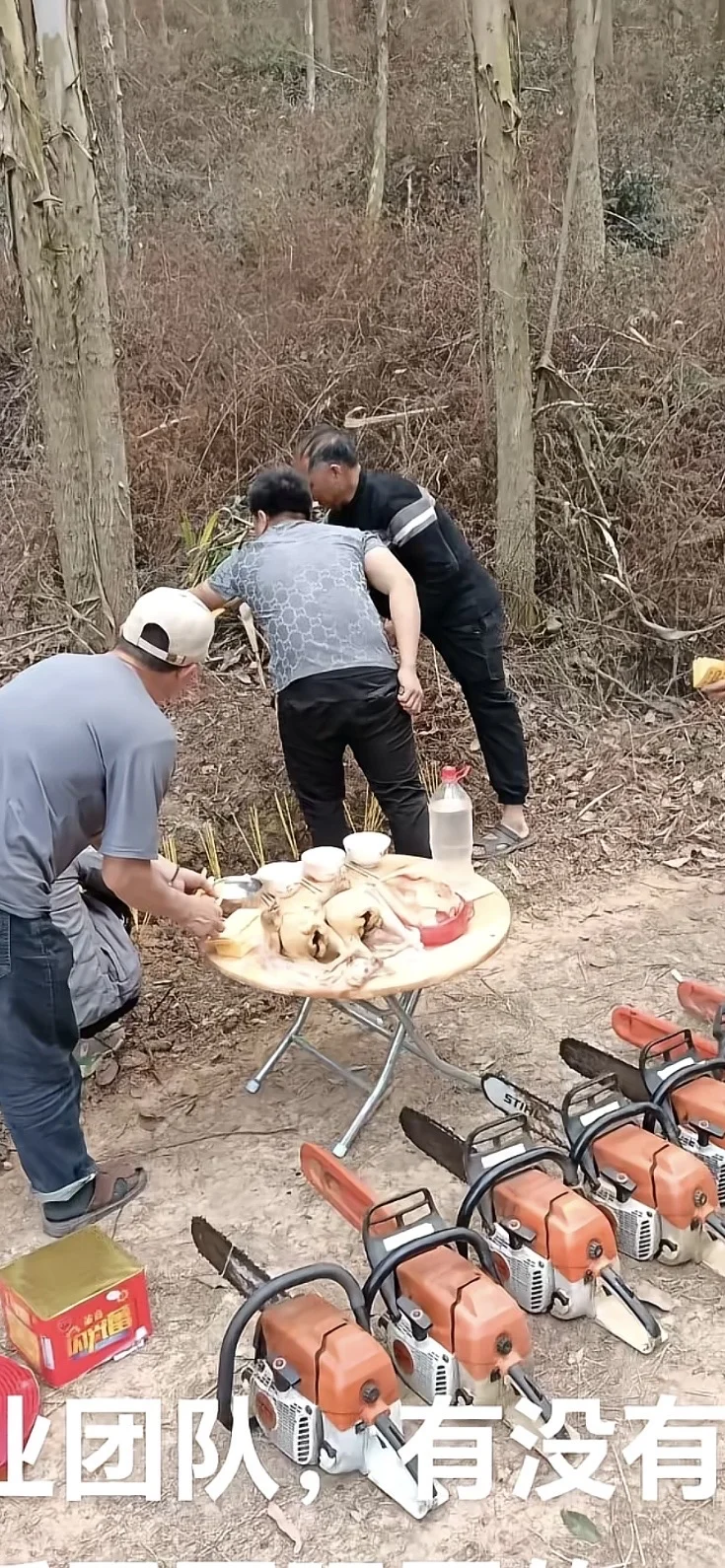 天津伐树修树枝挖树根