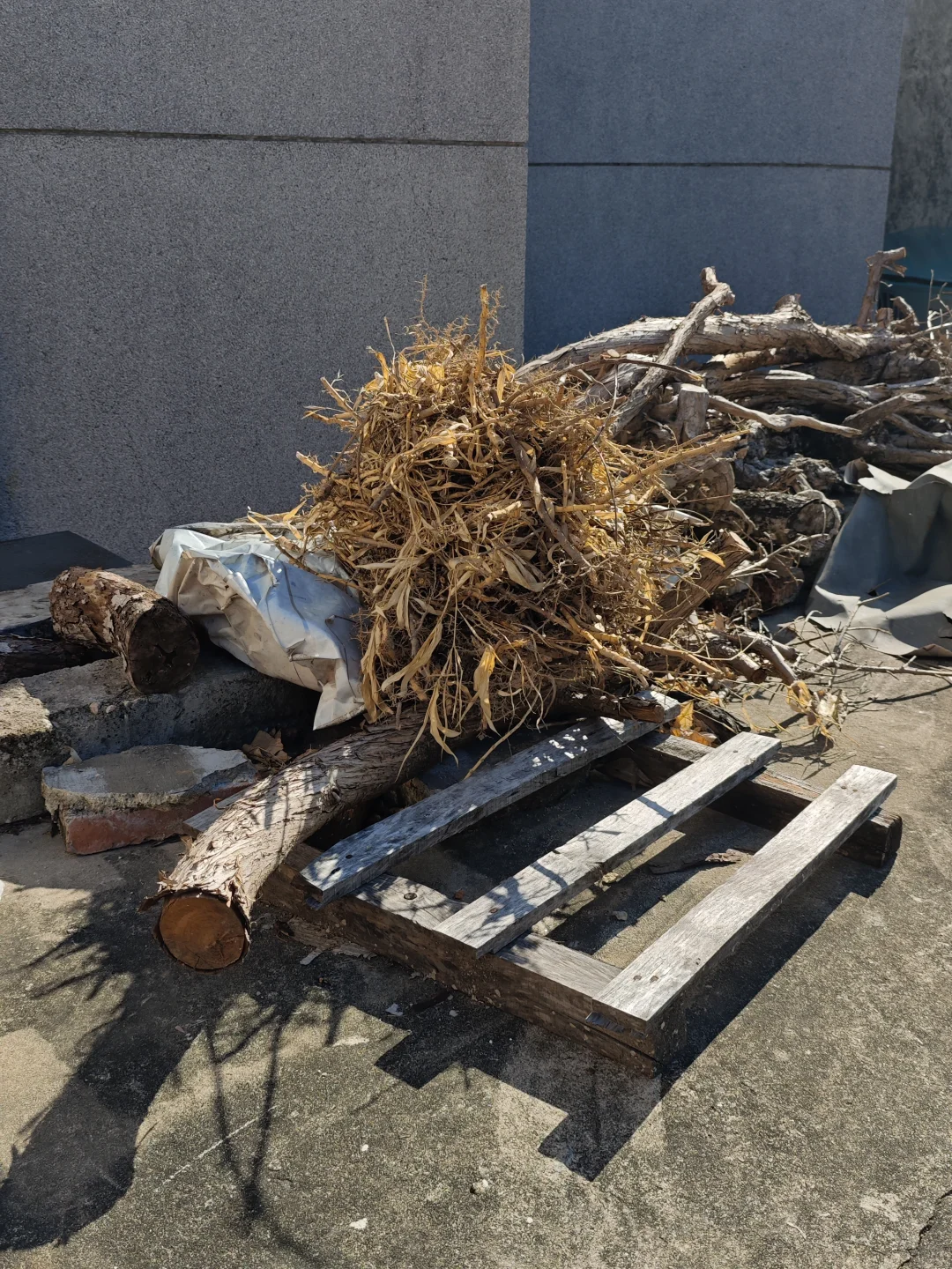 西贡村｜是他乡，也是回不去的故乡