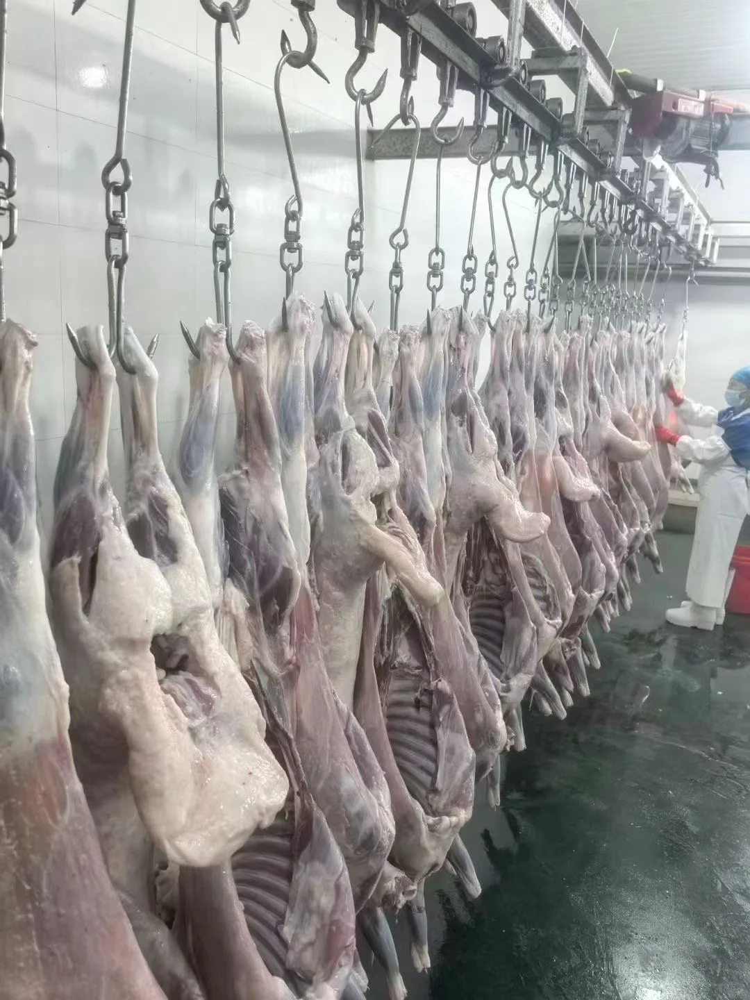 内蒙锡盟牛羊肉直发，全国冷链发货