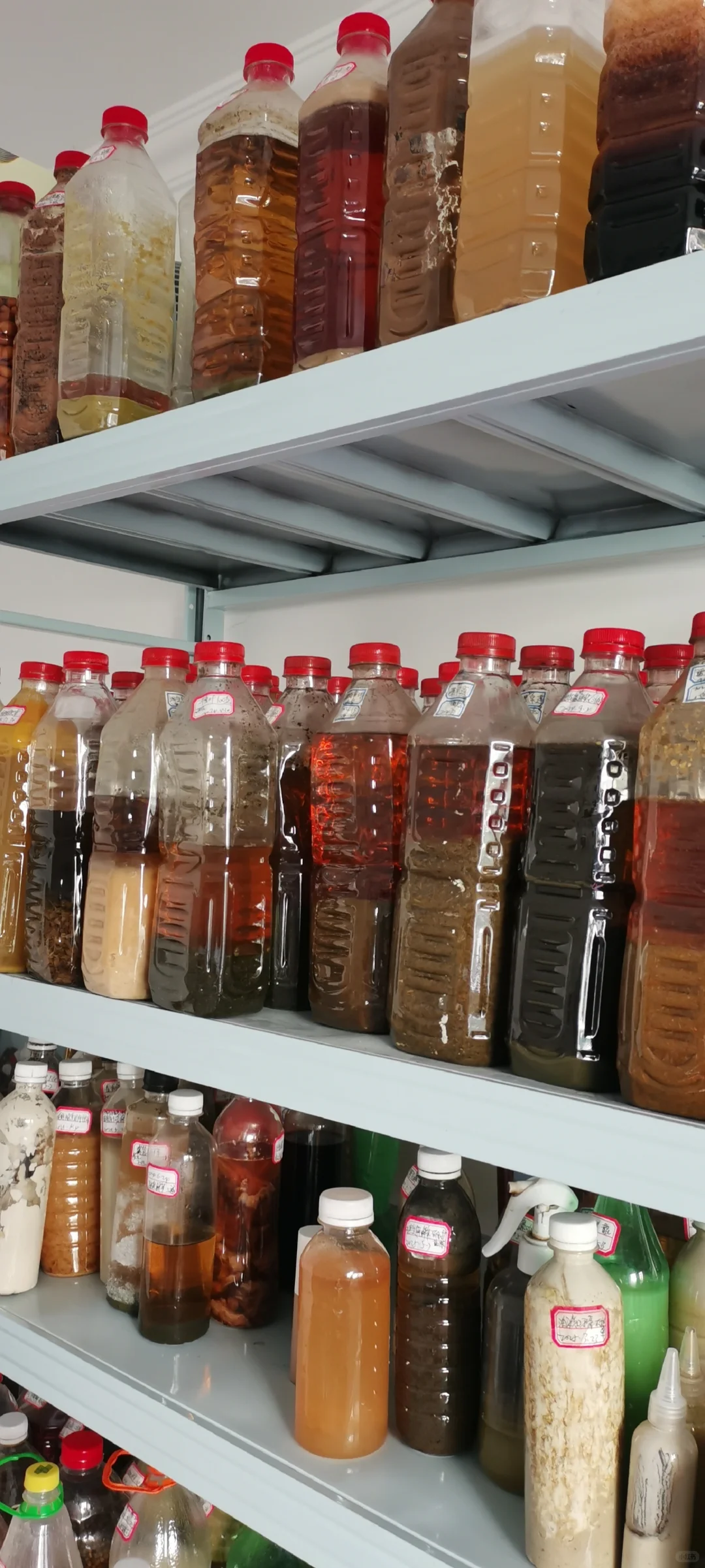 农产品加工之鲜萃技术