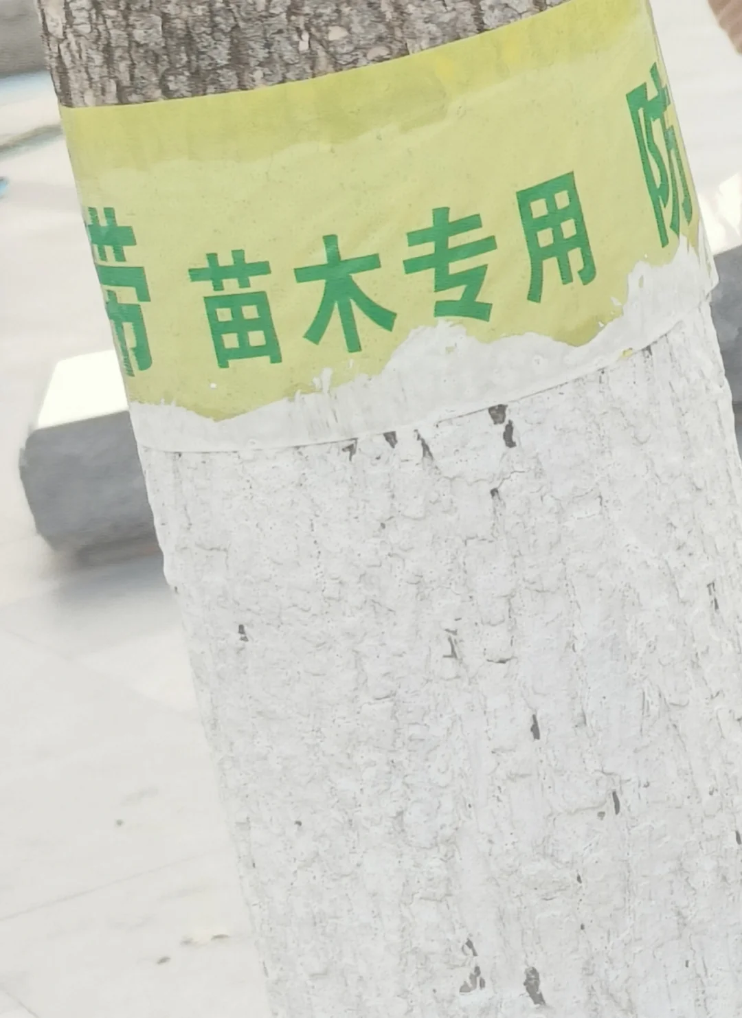 我不行了宝子们?