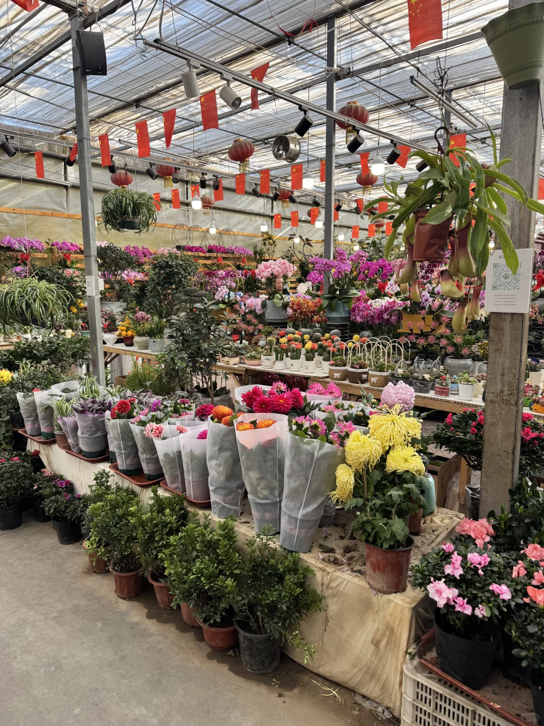 北京农科院花卉市场