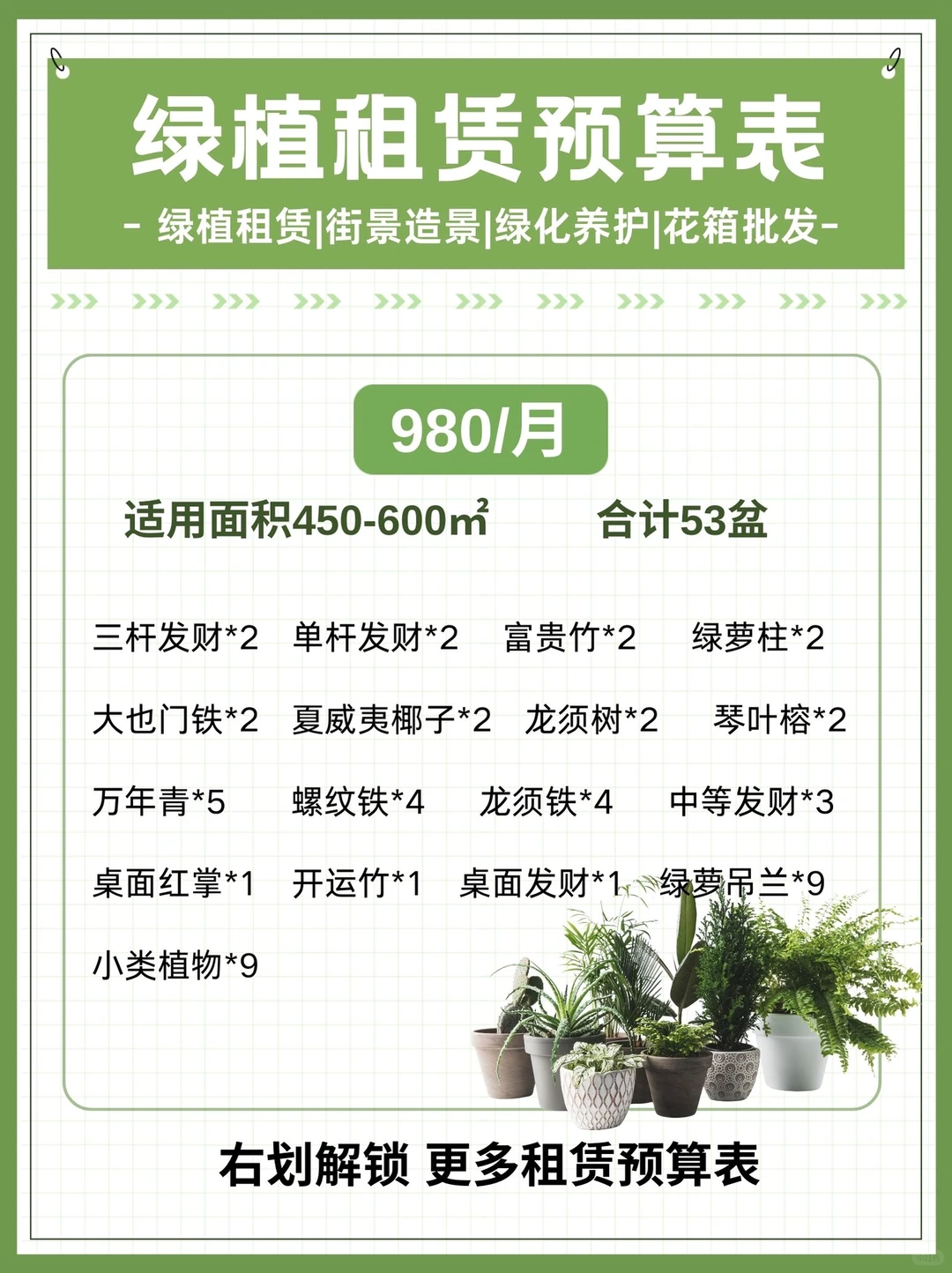 办公室绿植｜购买VS租赁，看完不再纠结！