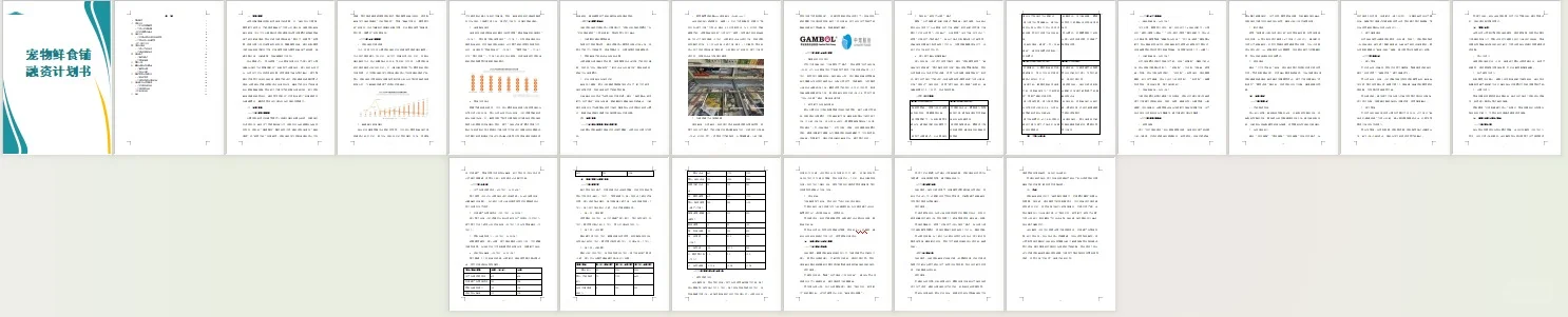 ?宠物鲜食铺融资计划书！word+ppt