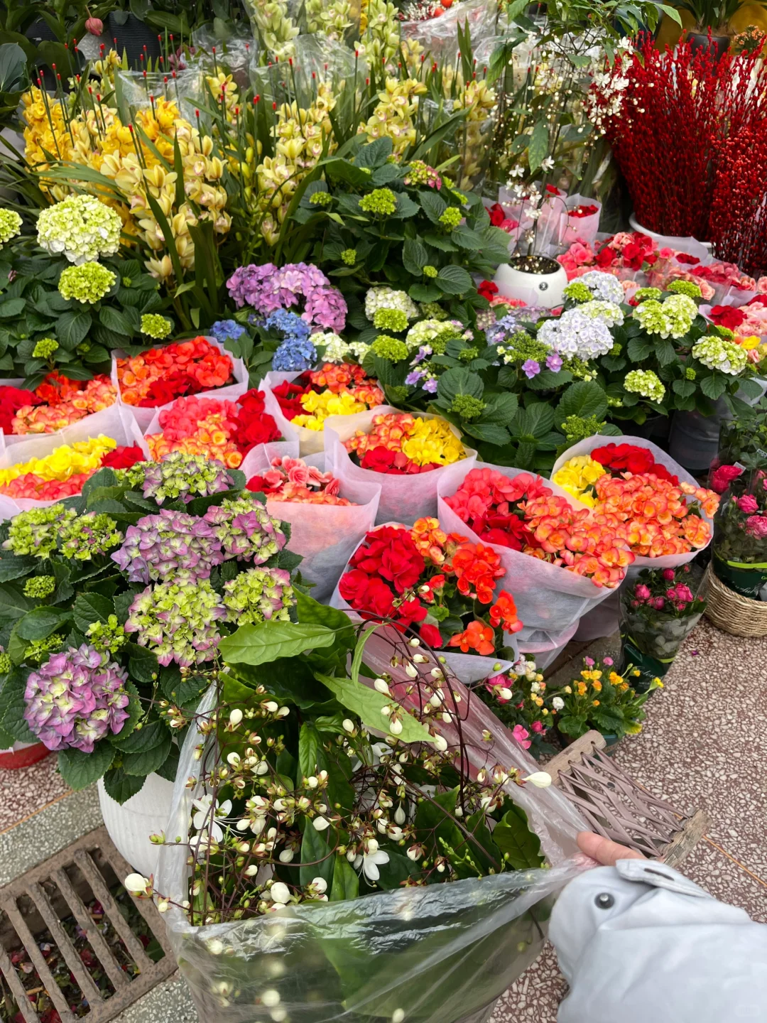 年宵花?｜浪漫垂丝茉莉?