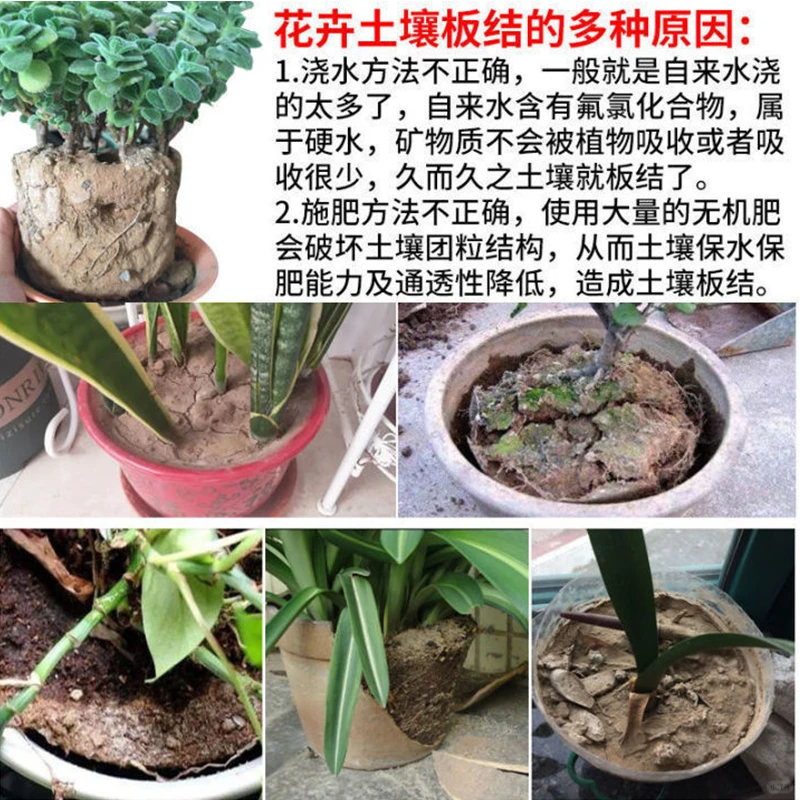 【土壤活化剂】让你的花园秒变“绿野仙踪”