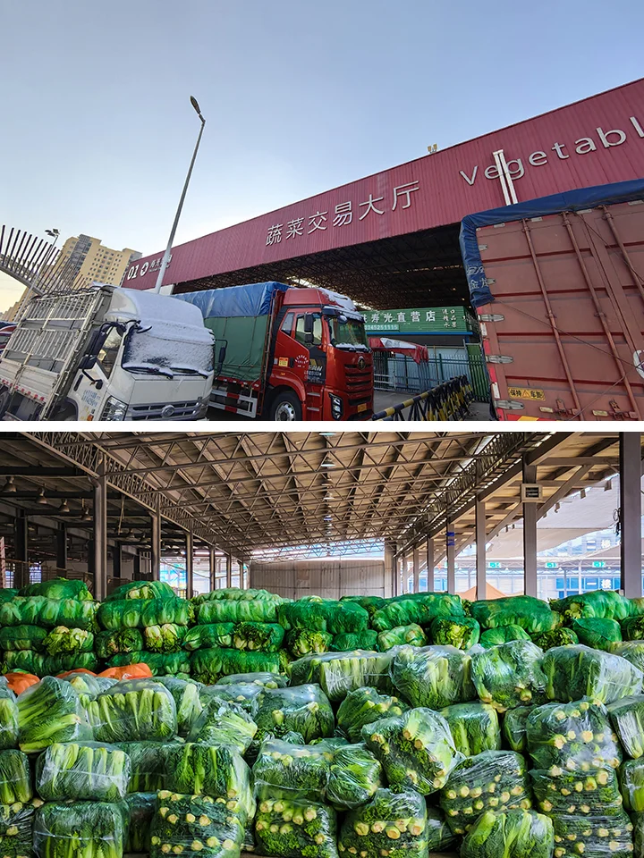 农产品供应链中的几种主要物流模式