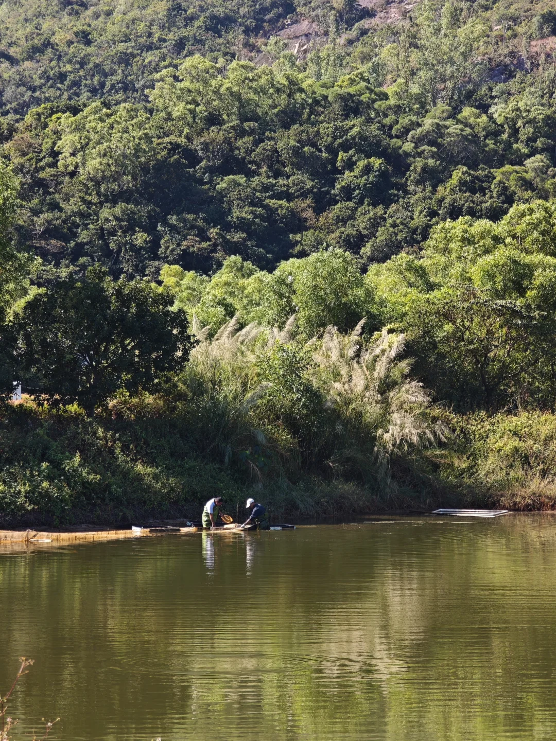 西贡村｜是他乡，也是回不去的故乡