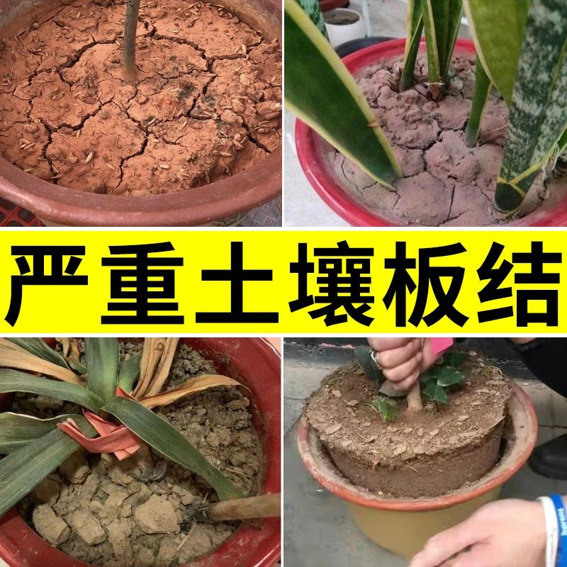 拯救板结土壤这款土壤活化剂让植物重获新生