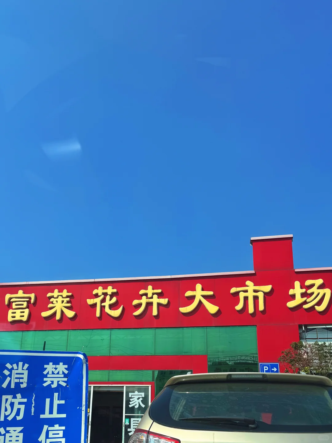 去张庄富莱花卉大市场淘花了