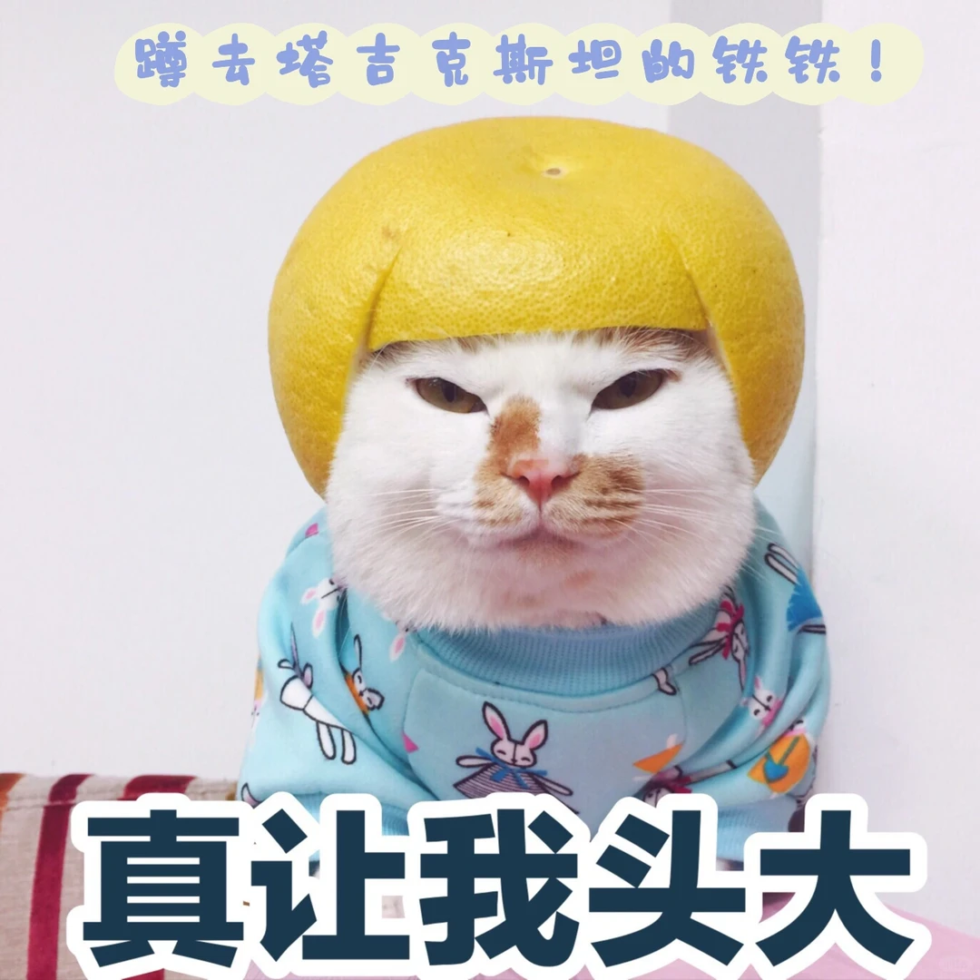 专做铁运去中亚五国的铁铁看过来!