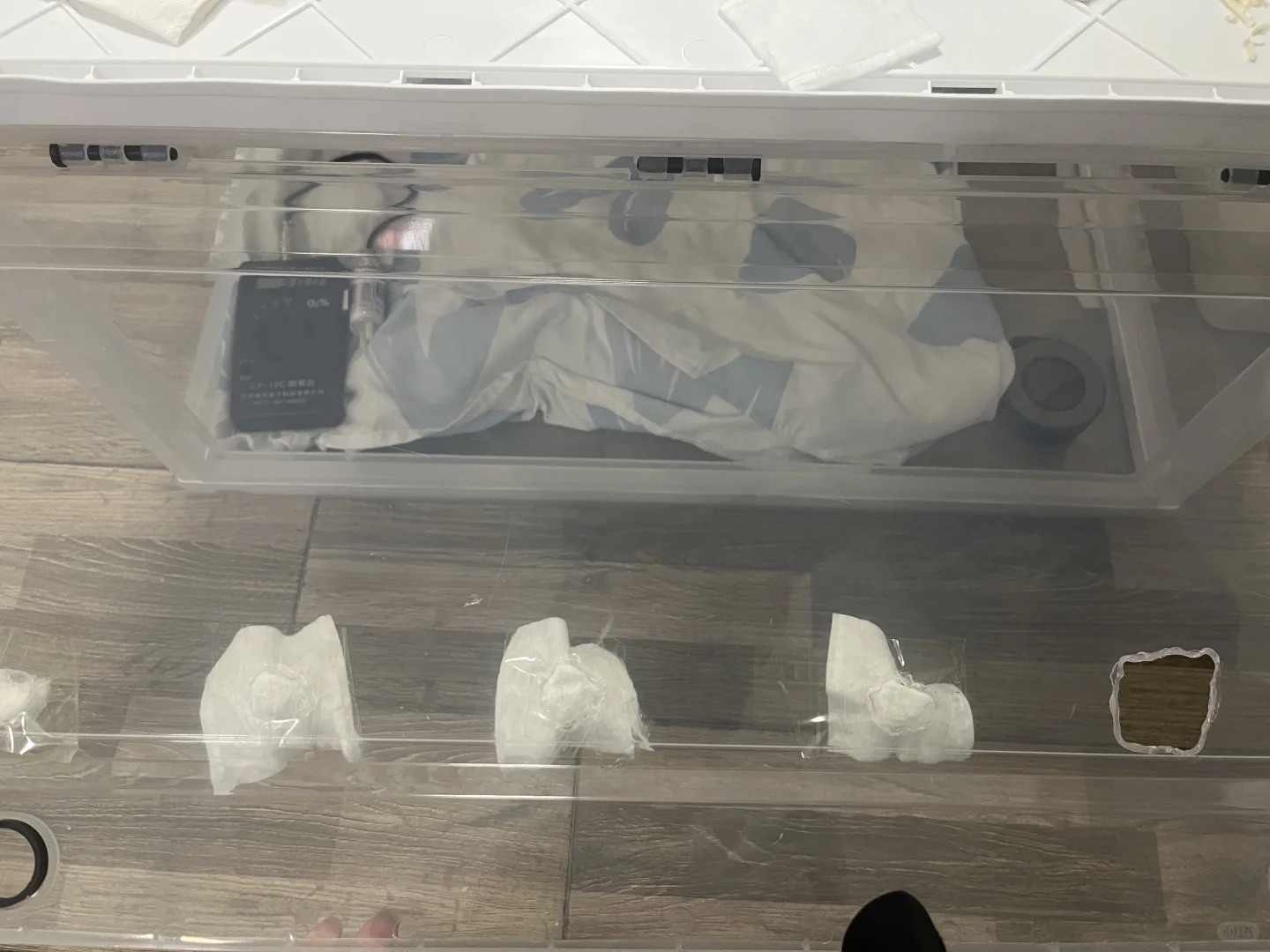 如何在家给毛孩子吸氧，家庭吸氧