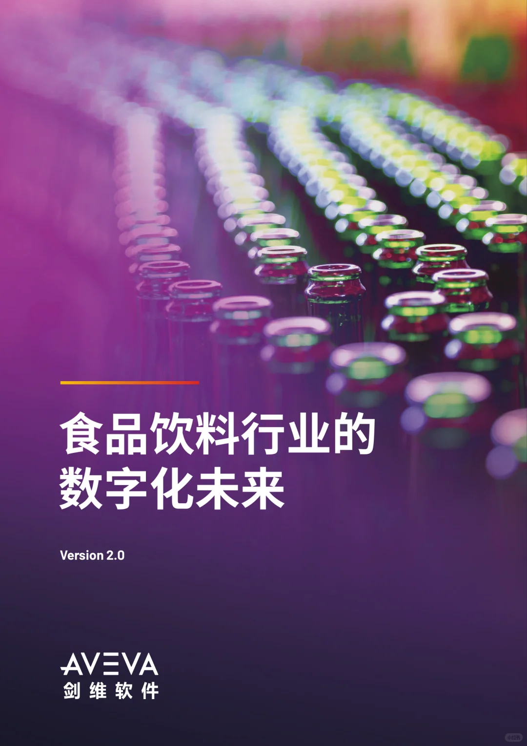 31页|2025年食品饮料行业的数字化未来