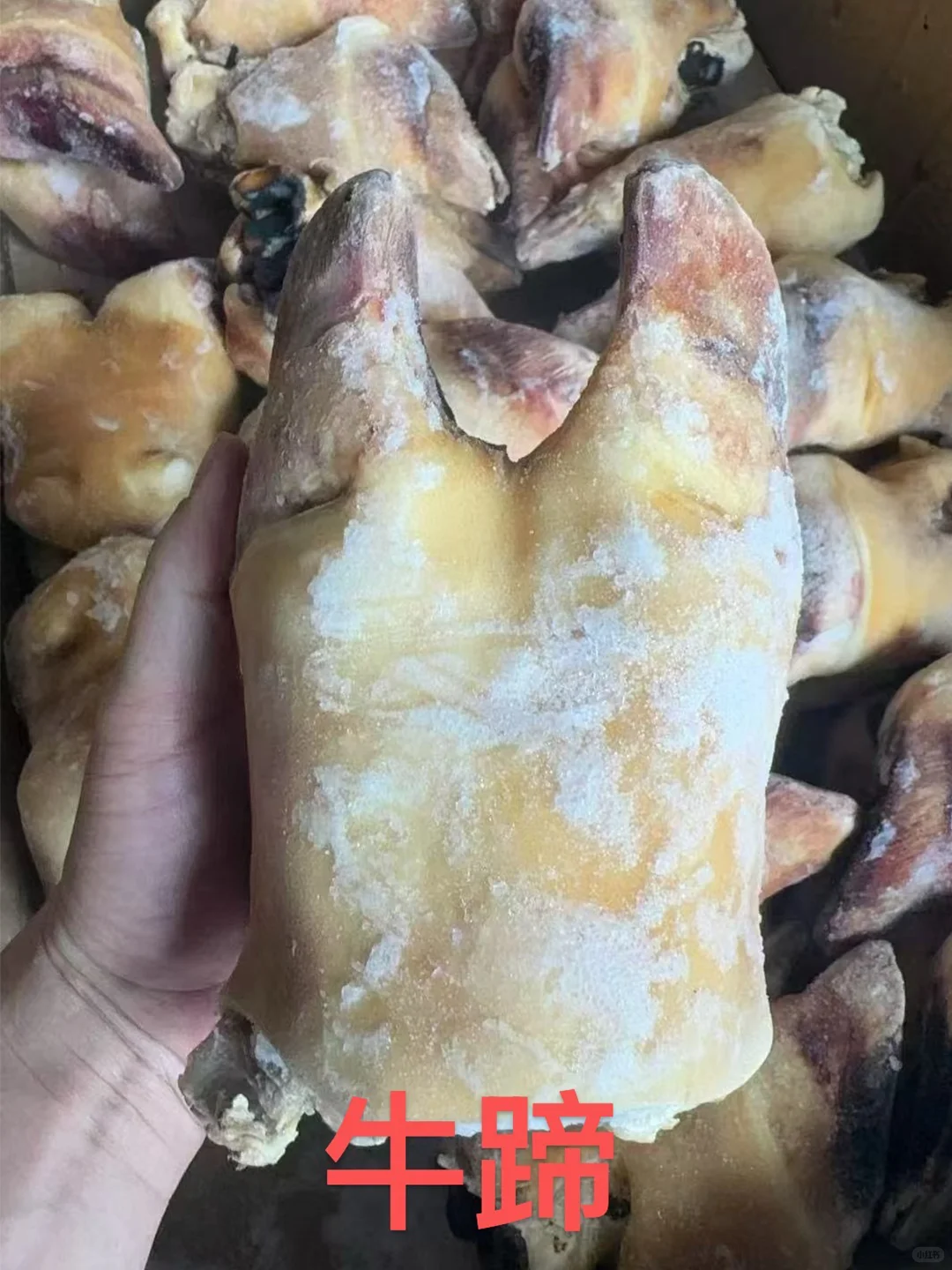 开店摆摊闭眼入的好货源，优质牛杂源头供应