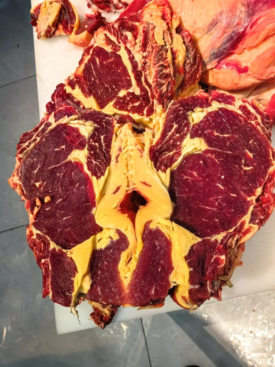 创业开店看过来 呼伦贝尔黄膘牛肉