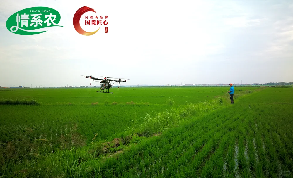 情系农 | 一号文件首提“农业新质生产力”