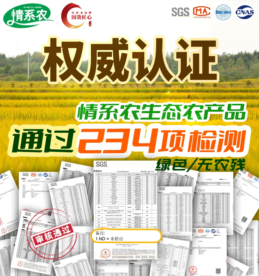 盐碱地变粮仓！情系农与你共见农业奇迹