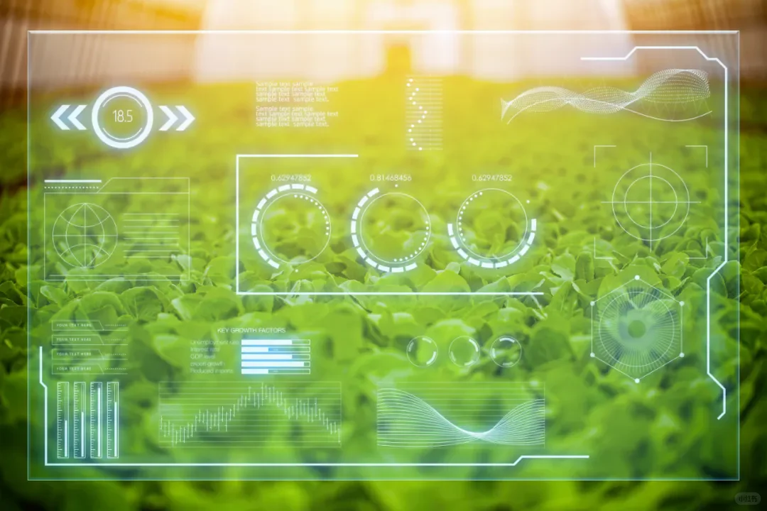 耕耘数字沃土：解码未来农业的数字化变革