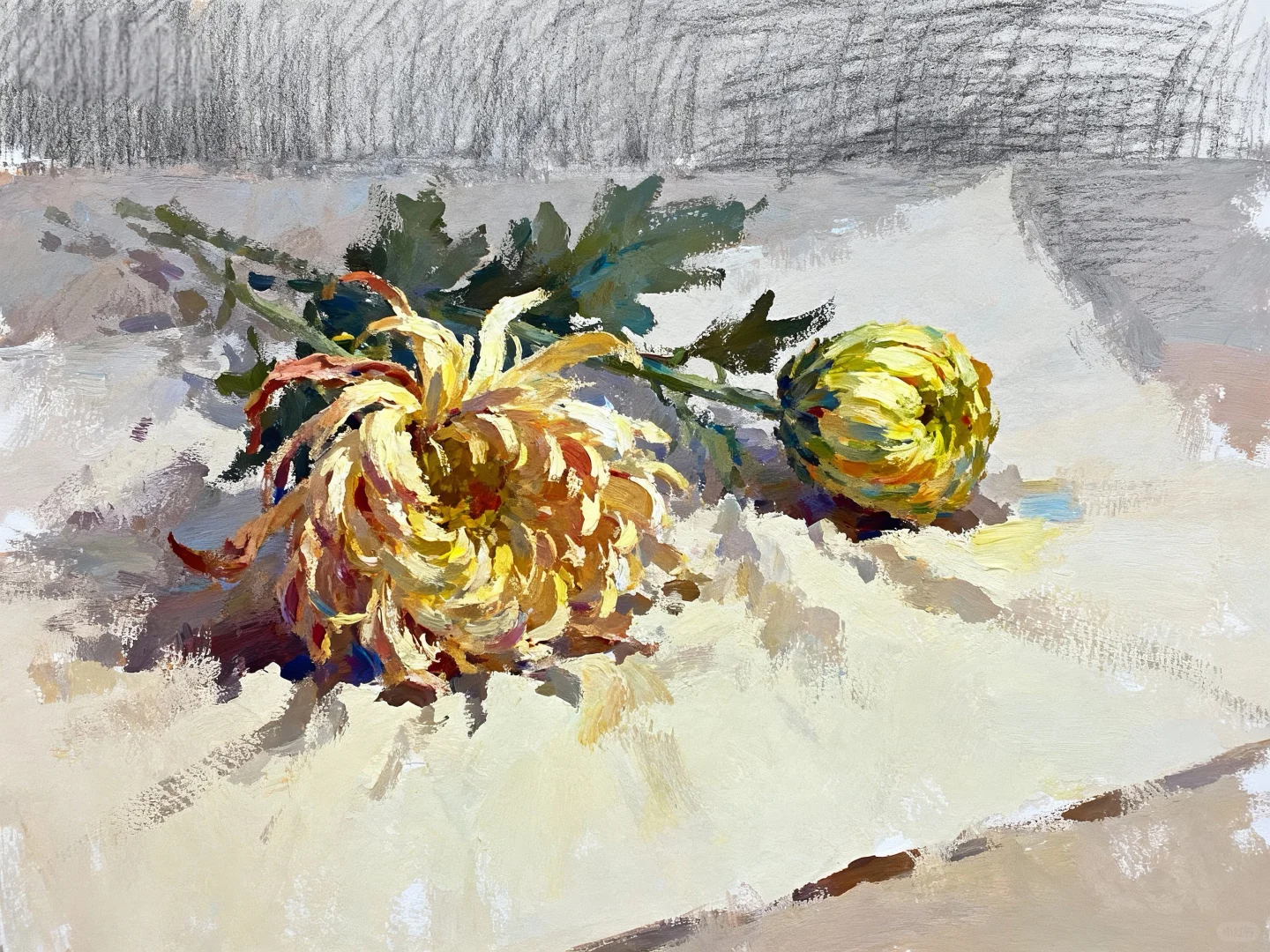 花卉绿植联考常考的花卉合集