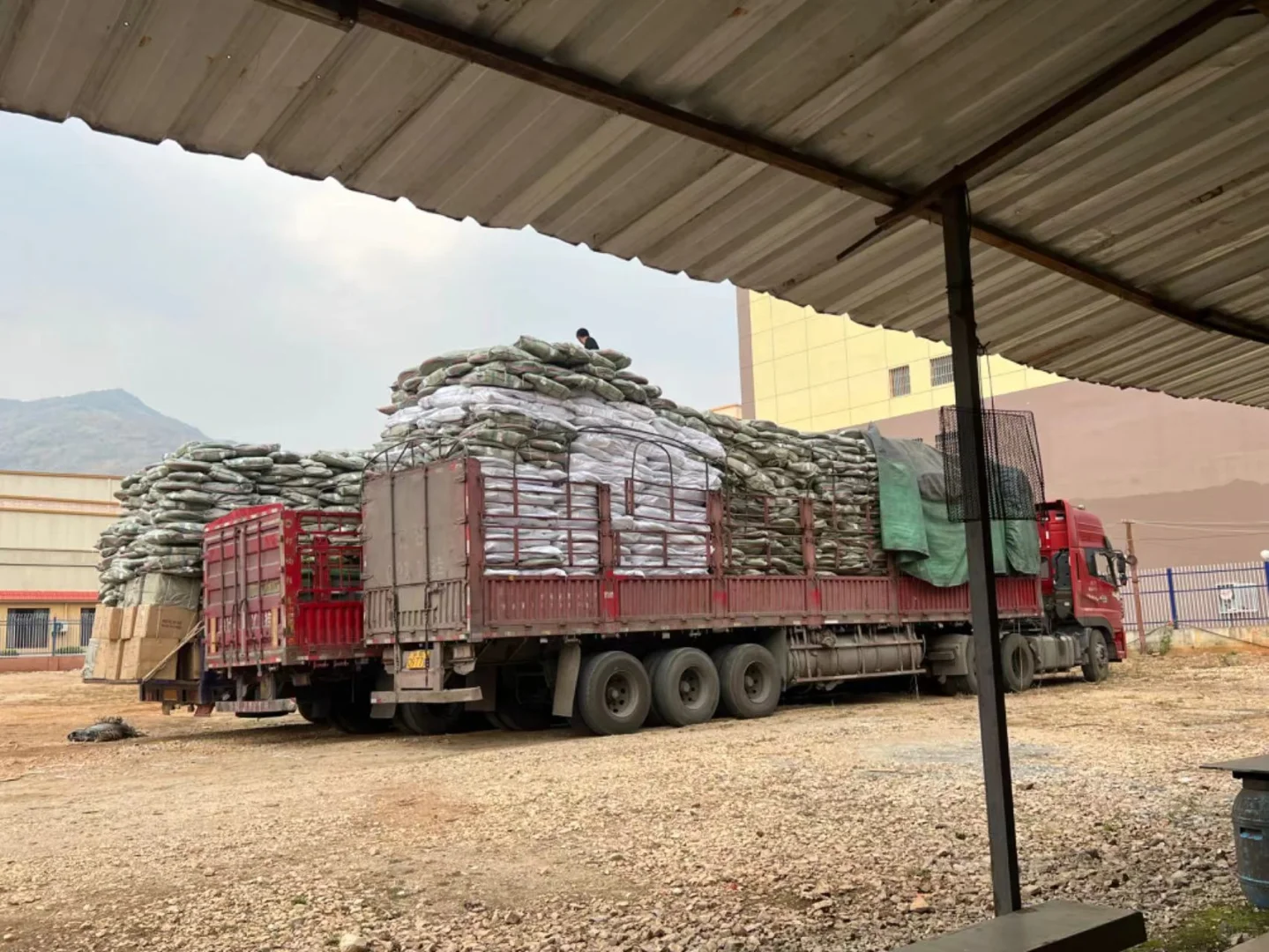 原来陆运是这样操作的。