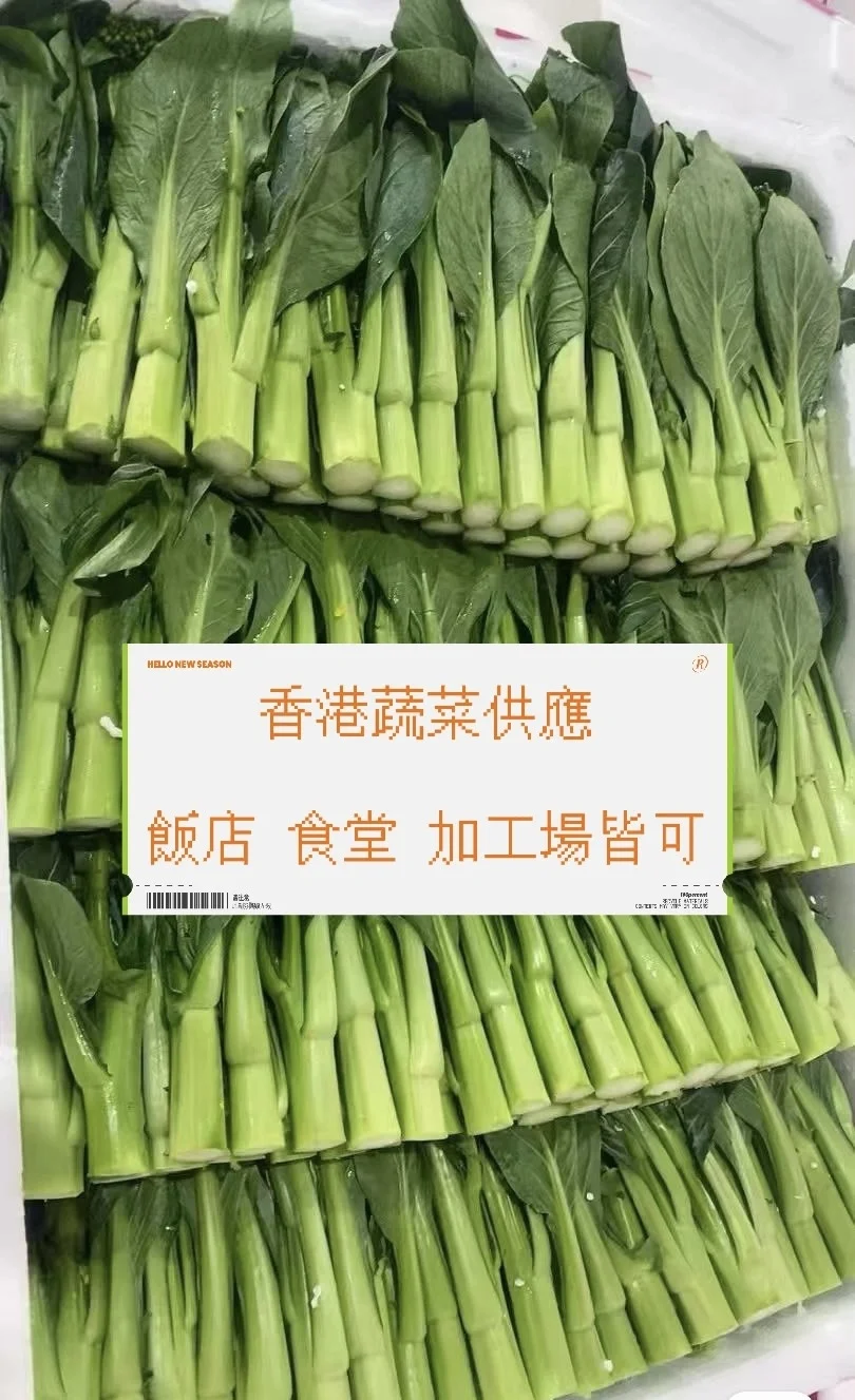 香港蔬菜供應鏈卷到?️??