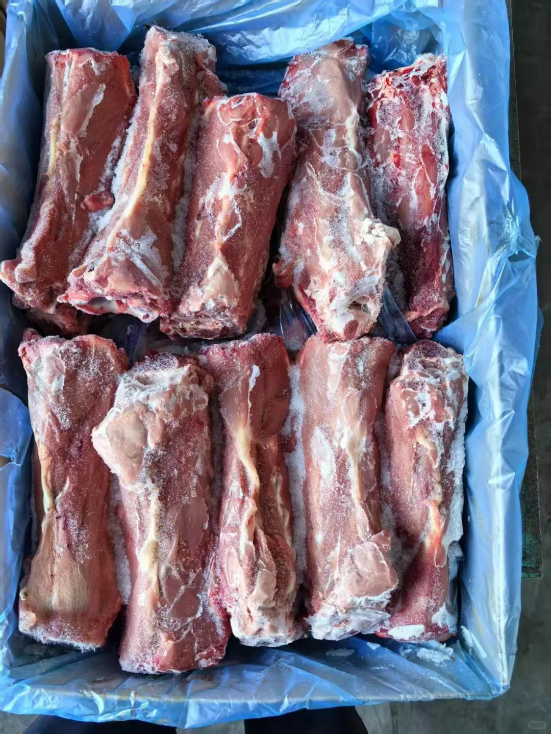 新西兰80犊牛产品