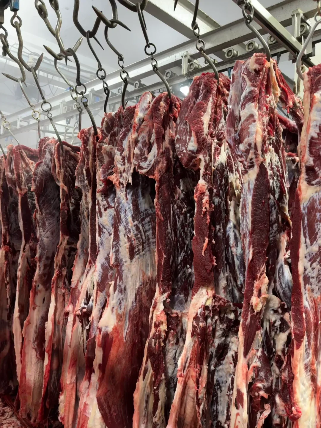 牛肉乱价原因❗️❗️