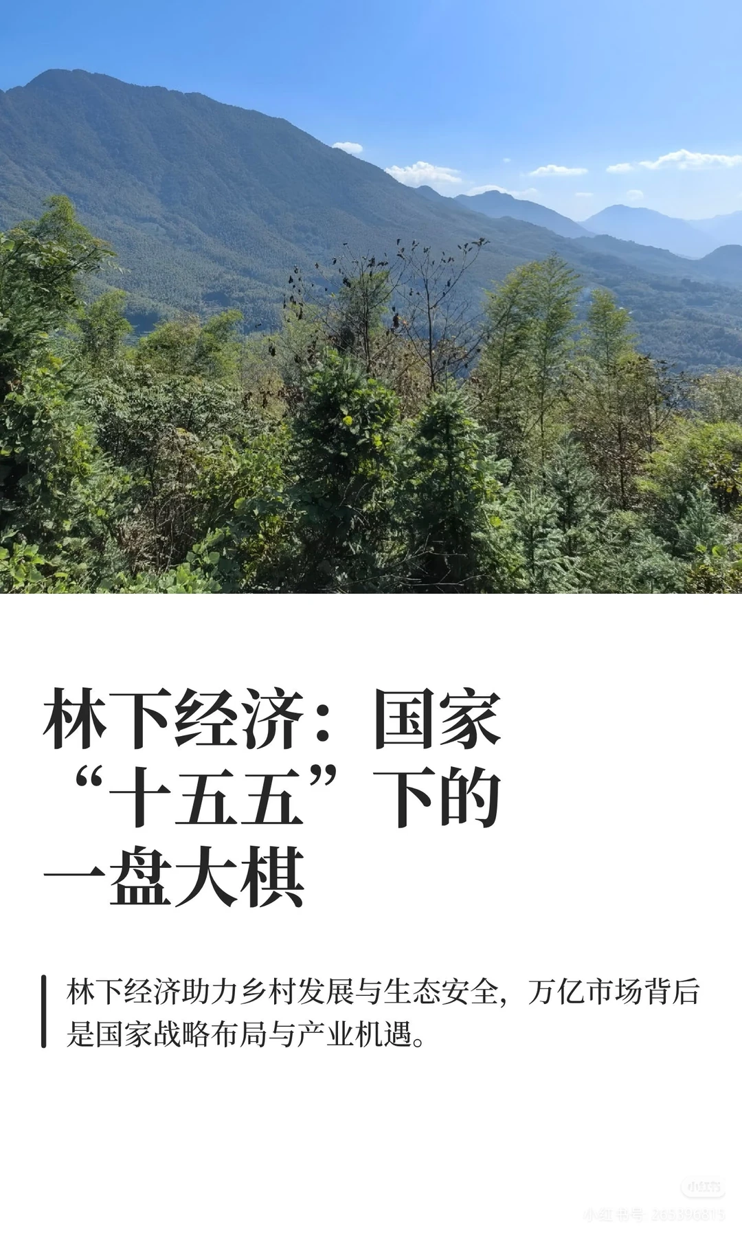 十五五林下经济的背后逻辑