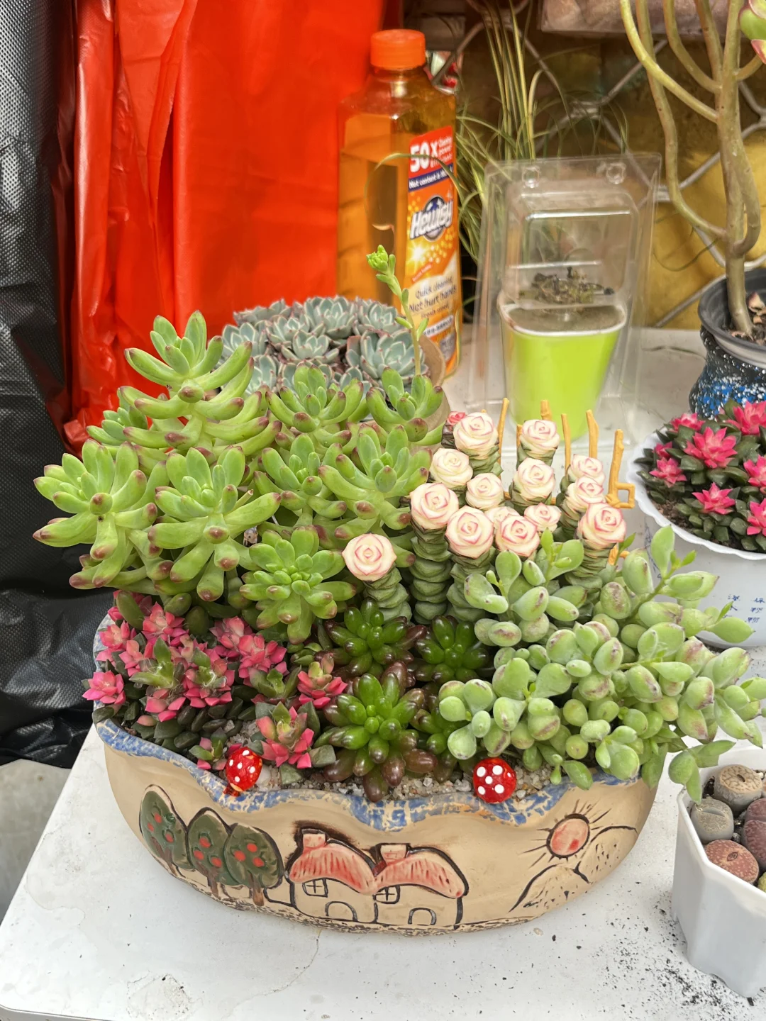 花市，春天最值得去的地方?