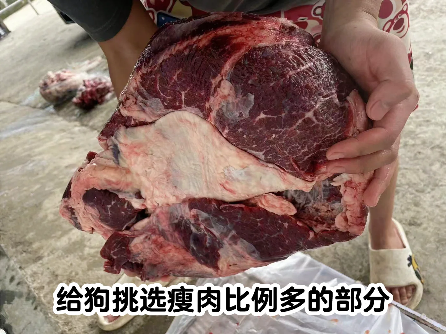 给狗吃的牛肉 大块牛肉