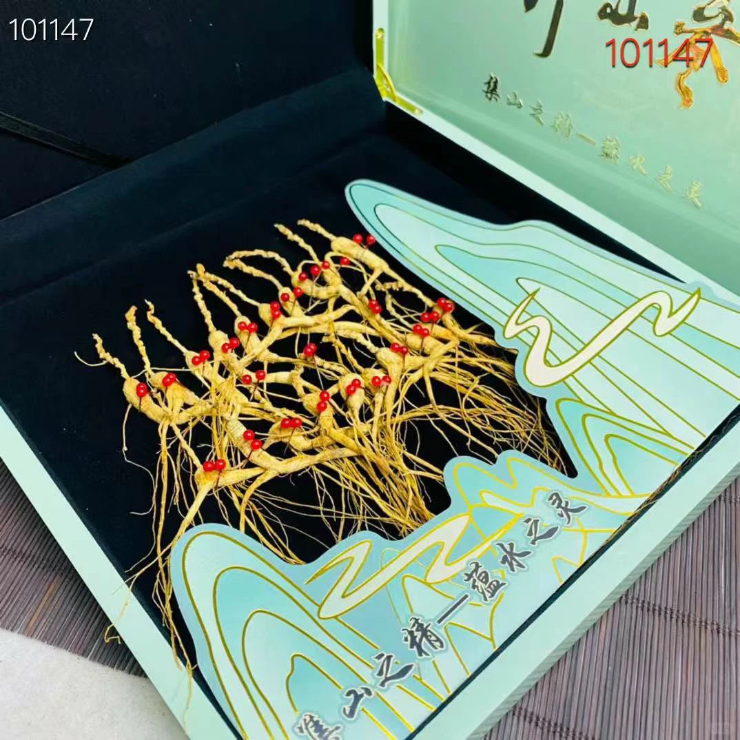 林下参籽20支翡翠绿 10套起批100/盒不包邮