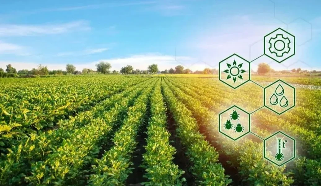 数字化让传统农业“聪明”起来