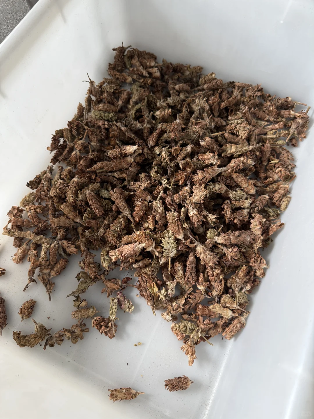 今日加工的小东西～