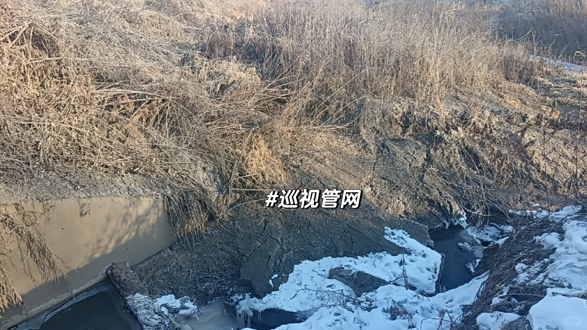 污水厂长日记-星期五?