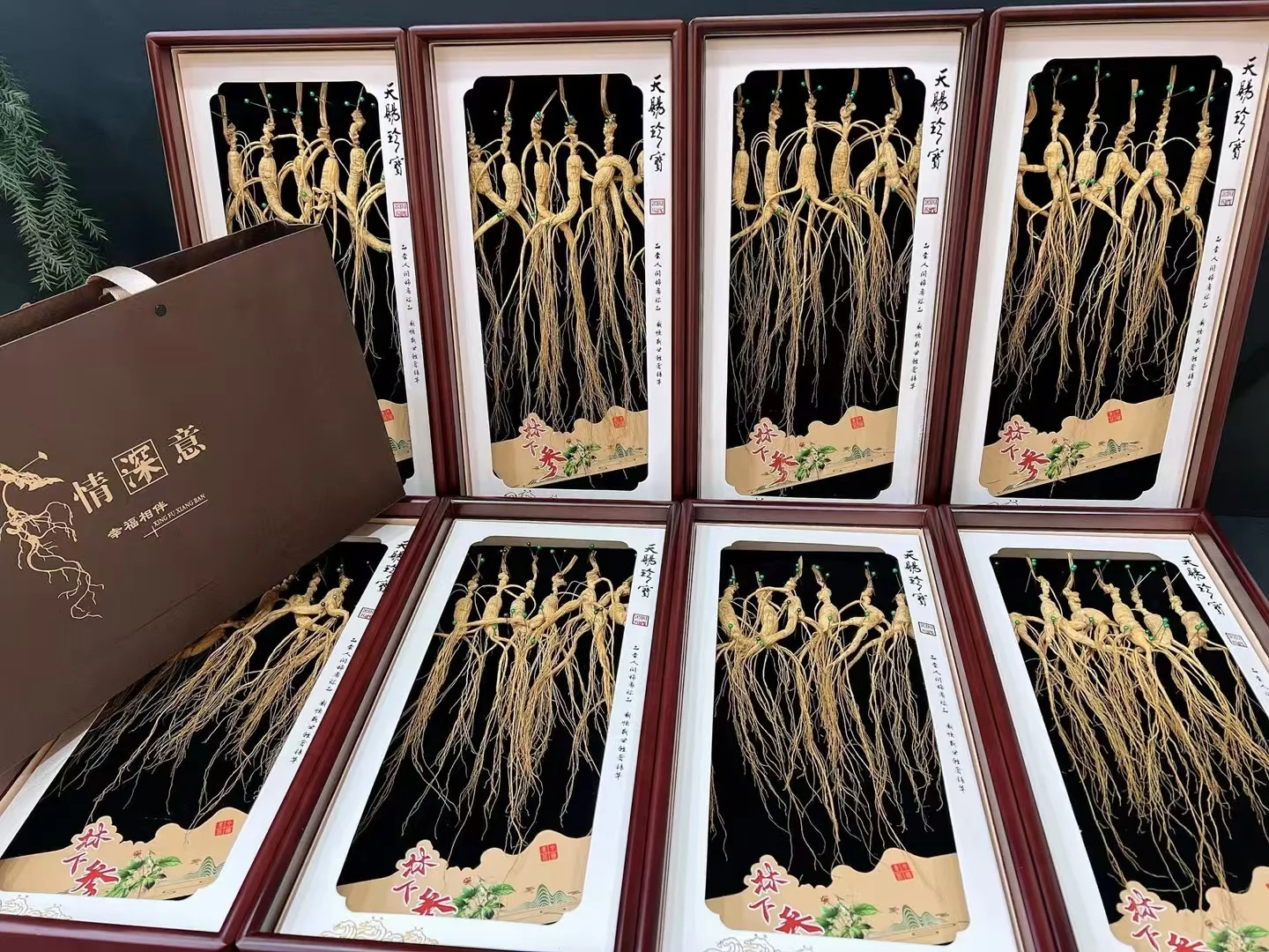 【林下野籽货】1