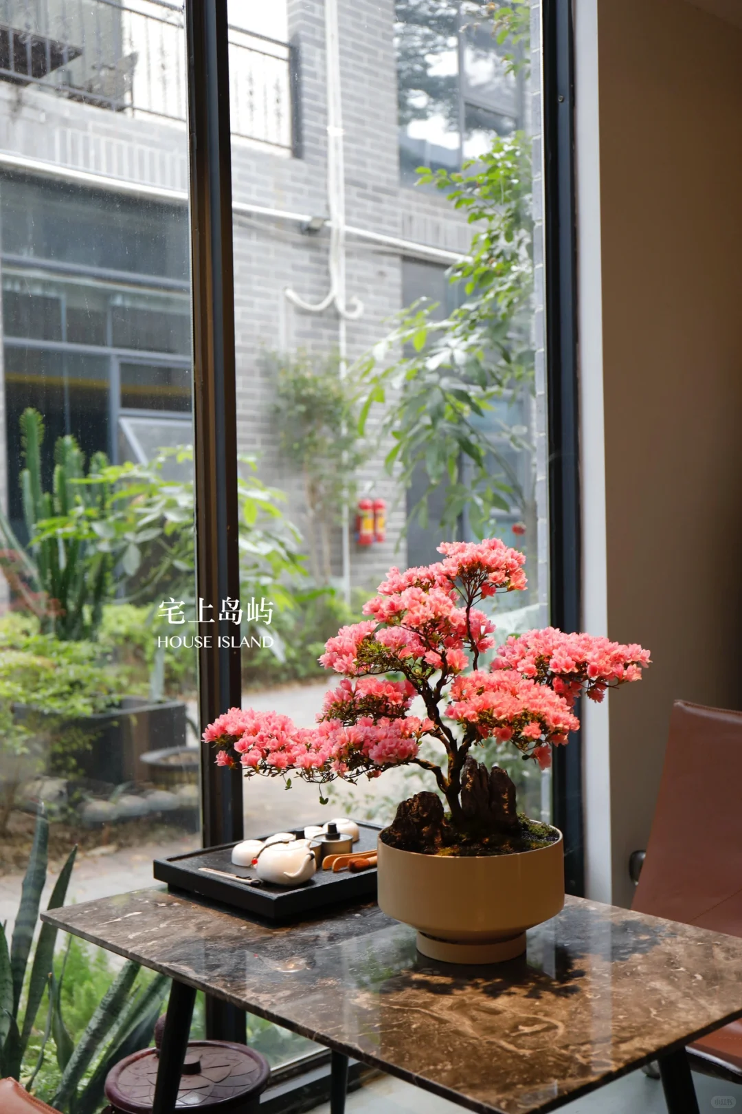 年花设计｜珍珠杜鹃