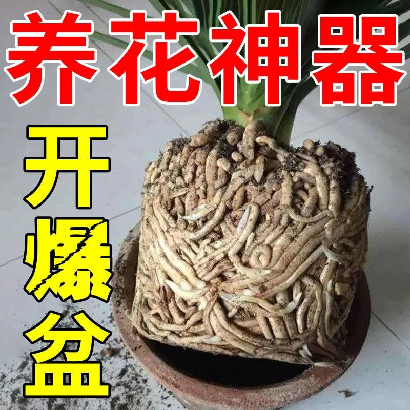 ☀️土壤活化神器，花友必备！