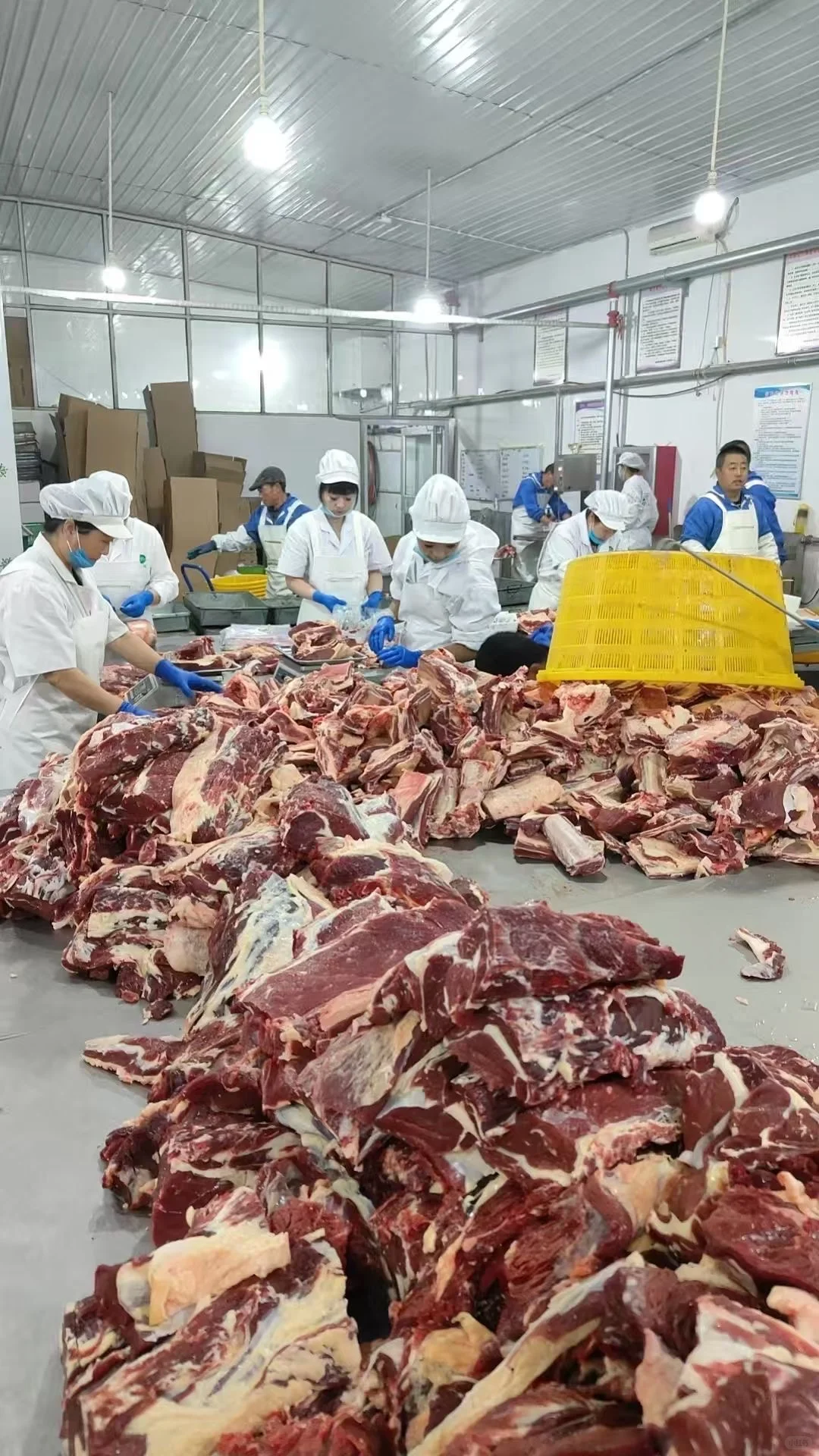 内蒙锡盟牛羊肉直发，全国冷链发货