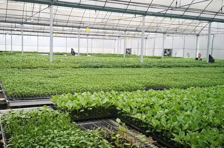 互联网时代的种养殖物联网