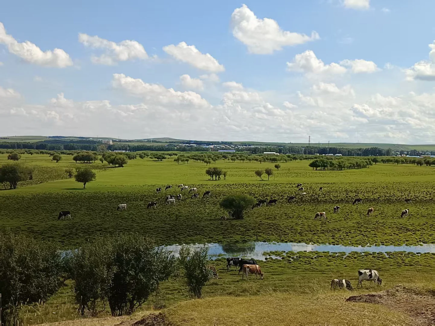 出售呼伦贝尔牛羊肉奶制品
