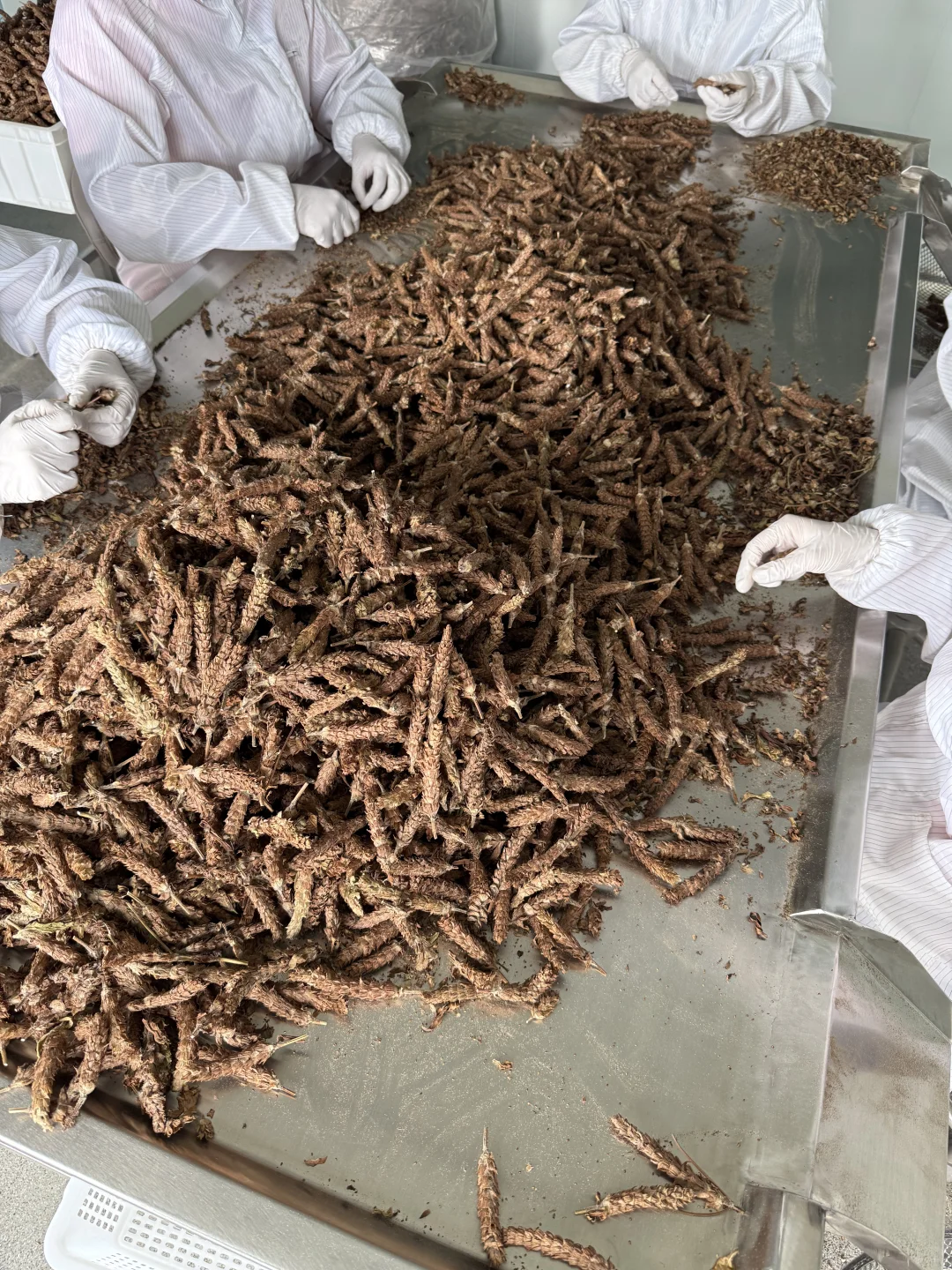 今日加工的小东西～